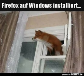 FirefoxaufWindows.jpg